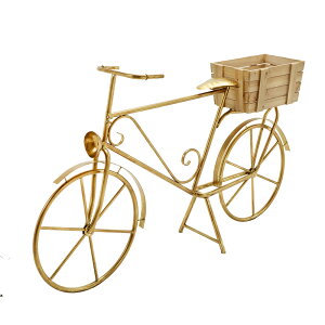 ACA IuWF ] 148cm / oCN IuWF ACA bL Y u fBXvC X I CeA AƋ NVbN AeB[N