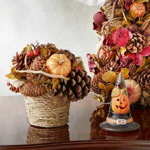 i` fR|bg 18cm / nEB    fBXvC IuWF u Xܑ CeA fR[V  H