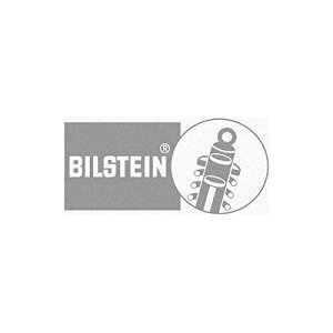 BILSTEIN rV^C S]ʃXebJ[ Vo[