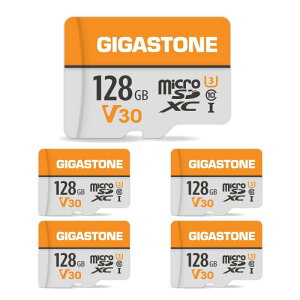 GIGASTONE �}�C�N��sd�J�[�h 256-1-1 Core Group