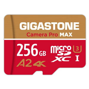 GIGASTONE �}�C�N��sd�J�[�h 256-4M-1 Core Group