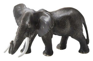 zr[ A u IuWF  ~j tBMA