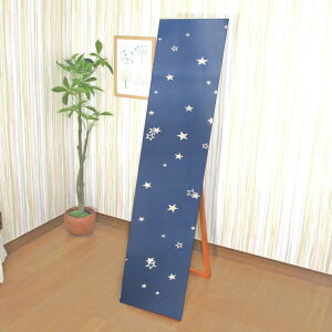 cloth shop �z�� �X�^���h�~���[�J�o�[ �E�H�[���~���[ �� �J�o�[�̂� �p�� �S�g���J�o�[ [nu-001-MIRROR]