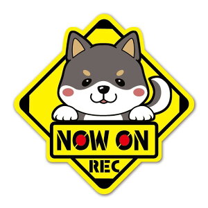 SignStore Č̕WXebJ[ Now no Rec 13.5cm×13.5cm F rj[ { character_18_SB_Rec