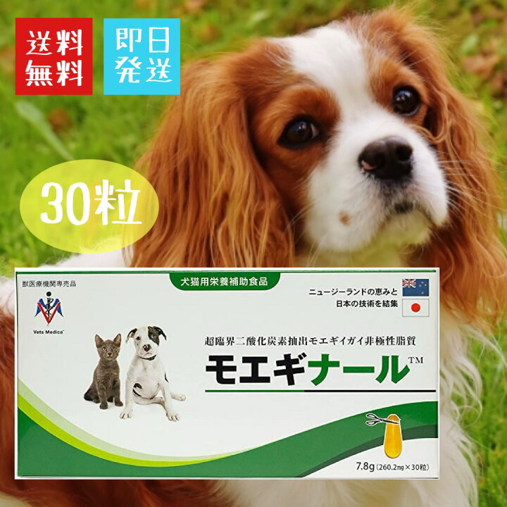 楽天市場】【最安値挑戦中！】犬猫用栄養補助食品 モエギナール 260.2 
