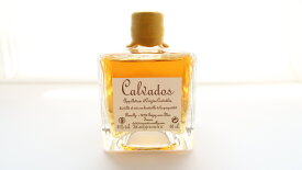 カルヴァドス XO 7年ミニボトル 42% 100ml (送料込）- Calvados 7ANS Mini　ほのかなシナモンの香り
