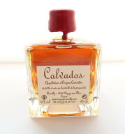 カルヴァドス VSOP 4年ミニボトル 42% 100ml - Calvados VSOP 4ANS Mini