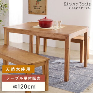 _ 10%OFFN[|gI ^ _CjOe[u  120cm 72cm VR Pi 4l k ll IV  AJVA H e[u Vv ؐ ` 4l|  r