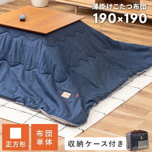 [SSN[|zz!] zc ` 190×190cm VTCY80×80cm  |    ^ |zc R^czc RpNg 킢 k fj fj Be[W 