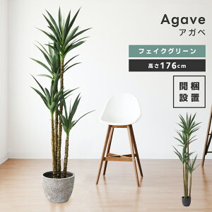 _ 10%OFFN[|gI ^ tFCNO[ AKx    lHϗt ϗtA } A 傫 CeA  [t  i` I[KjbN Be[W 