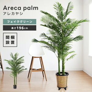 _ 10%OFFN[|gI ^ tFCNO[ AJV   썑 ][g  lHϗt ϗtA } A 傫 CeA  [t  i` I[Kjb