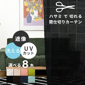 _ 10%OFFN[|gI ^ ̂ AR[fBI J[e Ki Ԏd؂ 100×260cm  O k [X ډB p^p^ t[Jbg 􂦂  J[e[ tbNt