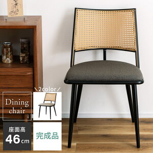 [SSN[|zz!] _CjO`FA  ֎q CX `FA[ ^ i Œr k _ ʍ46cm X^CbV wꂠ x[W X`[ i` Vv _