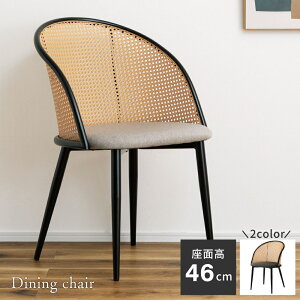 [SSN[|zz!] _CjO`FA  ֎q CX `FA[ ^ i Œr k _ ʍ46cm X^CbV wꂠ X`[ Vv i` x[W _