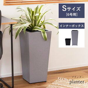 _ 10%OFFN[|gI ^ ySTCYz v^[ 6p 28cm 60cm ϗtA tFCNO[ _ VbN RN[g K[fjO O[ Zg Ci[{bNX 