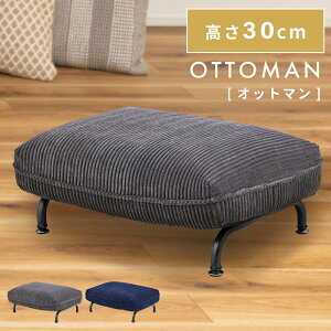 _ 10%OFFN[|gI ^ Ibg}   u k   30cm \t@ \t@[ R[fC l| lp wȂ rO  C_XgA `FA ֎q