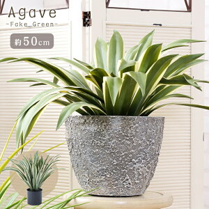 _ 10%OFFN[|gI ^ tFCNO[  lHϗt ϗtA CeA  [t AKx