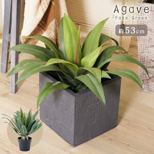 _ 10%OFFN[|gI ^ tFCNO[  lHϗt ϗtA CeA  [t AKx