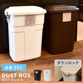 【エントリーでP5倍！】 ゴミ箱 おしゃれ 30リットル 30L 分別 屋外 スリム ふた付き キッチン ダストボックス 日本製 屋内 ダウンロック式 ブラウン ホワイト 縦型 リビング インテリア 寝室 洗面所 台所 一人暮らし 新生活