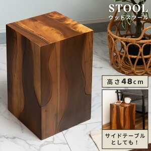 [SSN[|zz!] Xc[ ؐ  `FA ֎q ` fUCXc[ ֗pXc[  wȂ TChe[u CeA i` k AeB[N NX}X