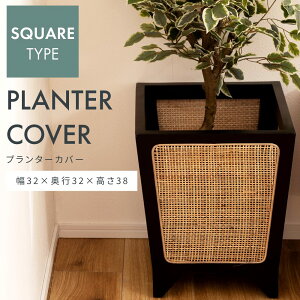 _ 10%OFFN[|gI ^ v^[Jo[ XNGA^Cv  |pi   K[fjO ^ ꕨ 32 CeA A p^