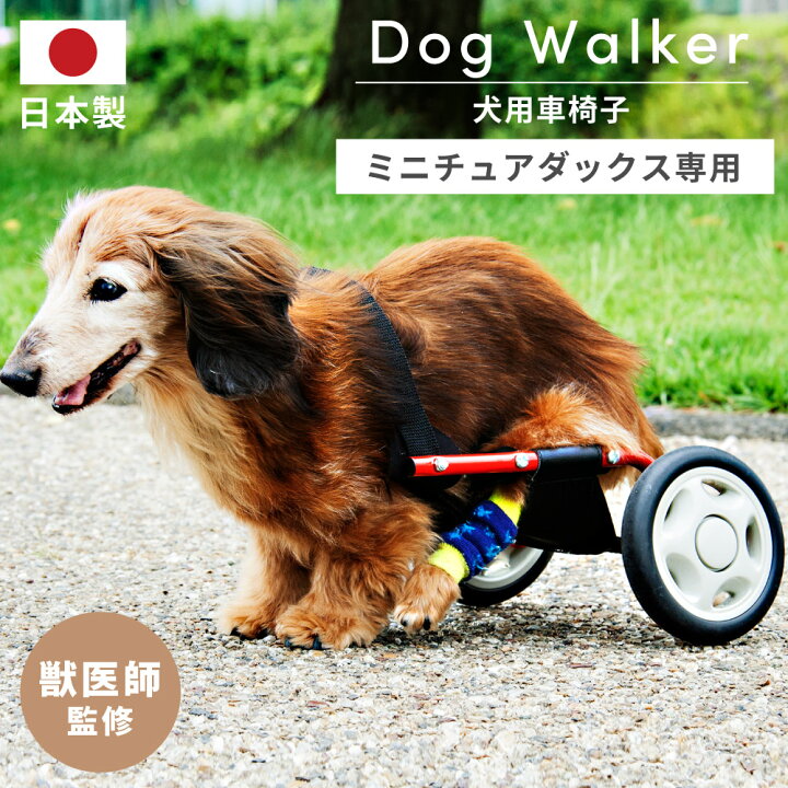 楽天市場 犬用 歩行器 歩行補助 車いす 車椅子 ペット車椅子 ミニチュアダックスフンド専用 ドッグウォーカー 日本製 犬用車椅子 ペット用車イス ペット用車椅子 ペット用補助輪 リハビリ用歩行補助具 介護 補助輪 2輪 リハビリ 後ろ足 高齢犬 サポート メゾンプラス