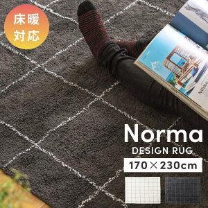 _ 10%OFFN[|gI ^ O O}bg 170×230cm 2.3 gΉ  k ` O~ イ J[ybg rO RbgI[V[Y g Vv i` 