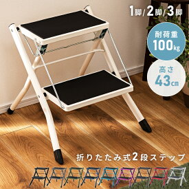 踏み台 ステップ台 脚立 2段 1脚 2脚セット 3脚セット 折りたたみ 椅子 屋外 折り畳み おしゃれ 踏み台昇降 洗車台 玄関 子供 キッズ 洗面所 トイレ 手洗い 台所 キッズステップ キッチン コンパクト スリム スチール ブラック 新生活