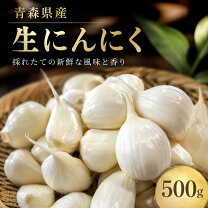 楽天市場】生にんにく 訳ありの通販