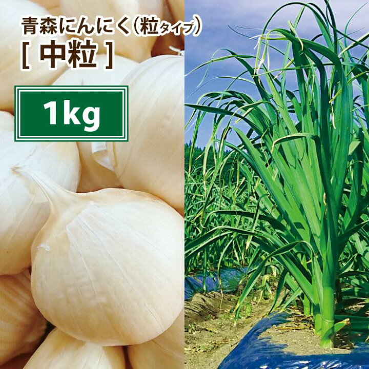 楽天市場】期間限定【毎月5と0のつく日】【送料無料】【2024年度産新物  