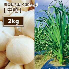 【送料無料】【2023年度産新物 中粒 2kg】青森 にんにく バラ 2kg 皮剥けなし【粒揃いで黒にんにく作りに大好評】青森 にんにく バラ 2kg にんにく 国産 青森県産 ニンニク バラ 2キログラム 青森『特選』バラにんにく 2kg【税込4500円】