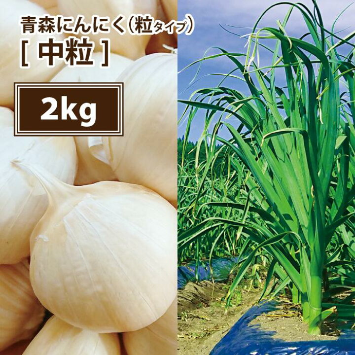 楽天市場】【送料無料】【2024年度産新物 中粒 2kg】青森 にんにく 