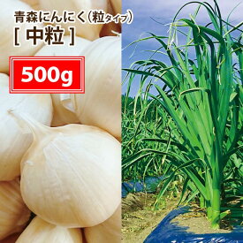 【送料無料】【2023年度産新物 中粒 500g】青森 にんにく バラ 500g 皮剥けなし【粒揃いで黒にんにく作りに大好評】青森 にんにく バラ 500g にんにく 国産 青森県産 ニンニク バラ 500グラム 青森『特選』バラにんにく 500g【税込1420円】