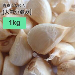 yzy2025NxYV 咆 1kgzX ɂɂ o 1kgyōɂɂɑD]zX ɂɂ o 1kg ɂɂ Y XY jjN o 1kg XwIxo