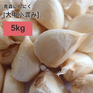 yzy2025NxYV 咆 5kgzX ɂɂ o 5kgyōɂɂɑD]zX ɂɂ o 5kg ɂɂ Y XY jjN o 5kg XwIxo