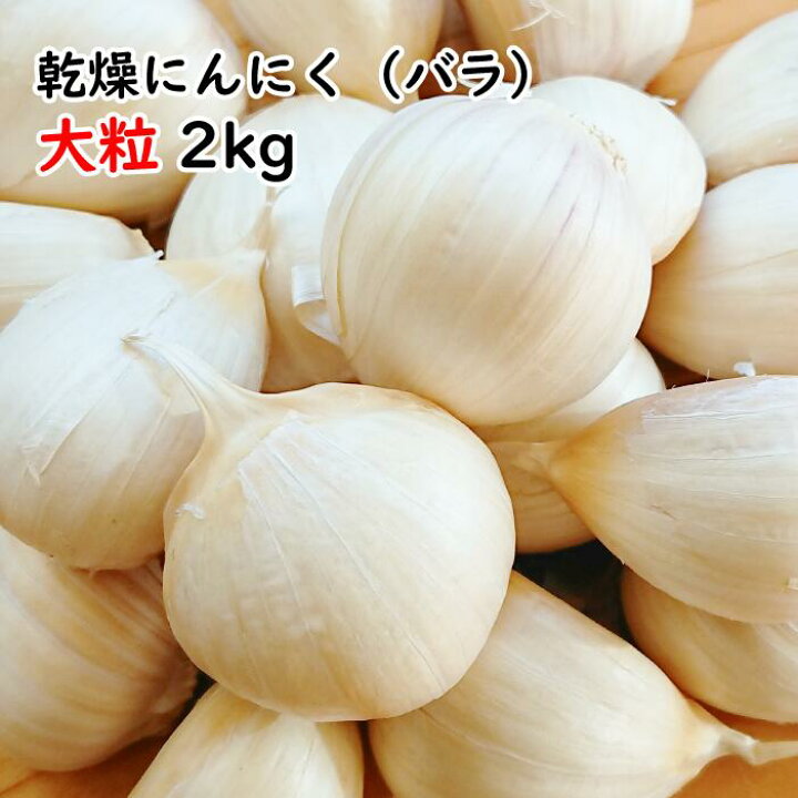 楽天市場】福地ホワイト【送料無料】【2024年度産新物 大粒 2kg】青森 
