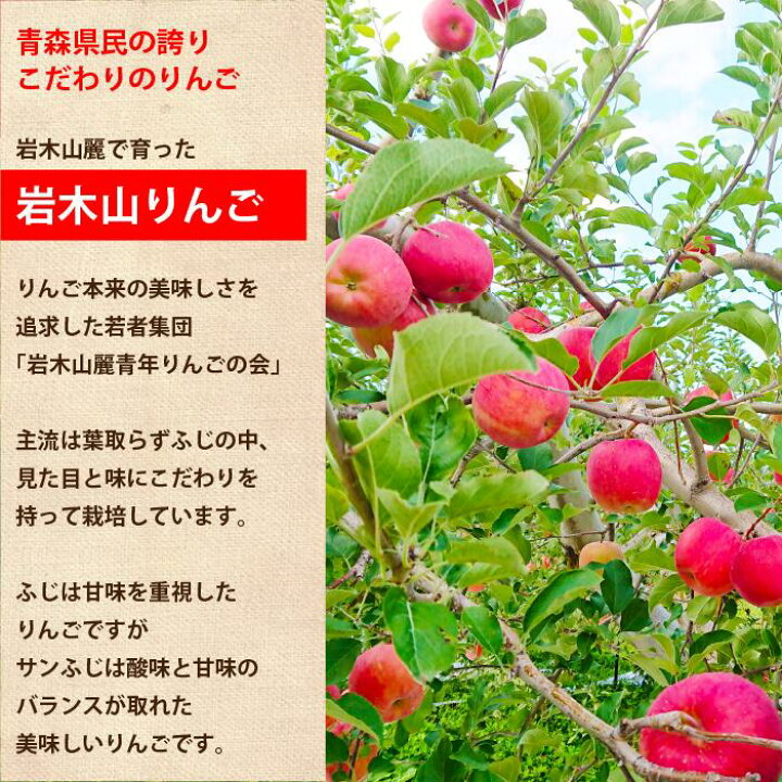 楽天市場】【贈答用】 サンふじ 約5kg 14玉〜18玉 青森県産 りんご 