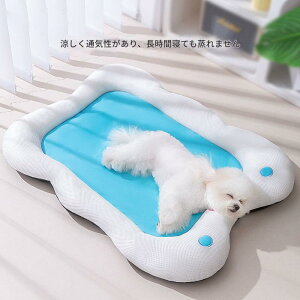 ybgxbh p t 􂦂 ~ ybg}bg ڐG⊴f L q ^ ɓKp QĂ錢̃xbh Lpxbh ybgnEX 