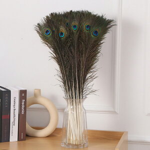 H E 10{ p  25-30cm tFU[ p[c | ANZT[ H H ANZT Ntg EFfBOu[P t[AWg Ĥ鐶