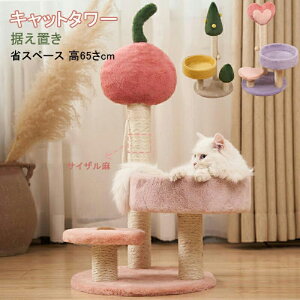 Lbg^[ TCU ZL L VjAL qL u  ܂Ƃ  RpNg ^s 