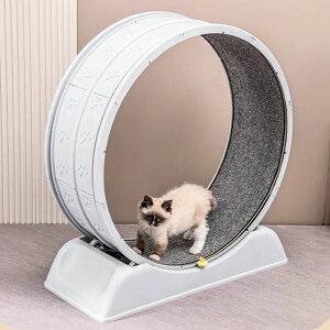 キャットホイール 猫 犬 散歩 猫の車輪 猫用トレッドミル 猫 ホイール 室内飼い ルームランナー 運動不足解消 プラスチック素材 猫用おもちゃ 低騒音 組み立て簡単