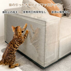 送料無料 爪とぎ防止シート ソファ 猫つめとぎ防止ステッカー 引っ掻き傷 爪とぎ 汚れ防止 透明 ツめ傷保護シート PVC製 粘着タイプ 壁 柱 家具保護 しつけ用 爪研ぎ防止シート 10枚セット