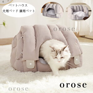  ybgnEX  h[^ pxbh Lpxbg ӂӂ   H~ Vi 薰 ybg\t@ p xbg Lxbh 􂦂  ϋv 