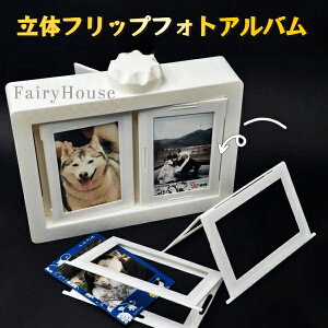 yz3C`ʐ^[\ł CX^gJʐ^ ]Ao - `FLʐ^闧̃tHgt[A̓IȑdWArO[AQA܂͊̐