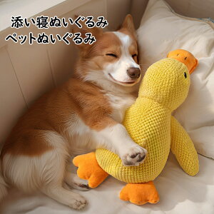 yzYQʂ Aq ybgʂ Lpi pi 킢  ybgp ybgp Ȃ߂ ˂  ybgp   v[g Mt