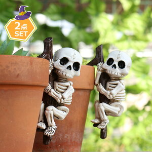 y6%OFFN[|zXJu W 2_Zbg  [ nEB  鐓 KCRc A K[fI[ig ~j`AtBMA XJI[ig  nEB