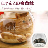 【6%OFFクーポン配布中！】にゃんこの金魚鉢 猫 透明 ペットハウス 猫ハウス 室内用 猫 金魚鉢 子猫用金…