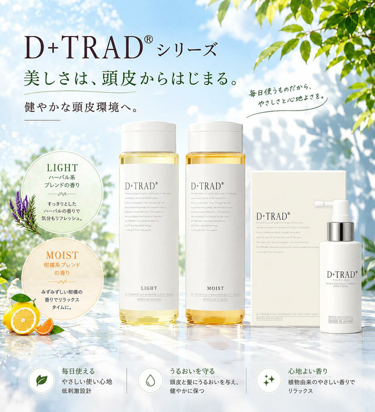 楽天市場 | D＋TRAD公式（ディー・トラッド） - 化粧品分類のヘアケア 