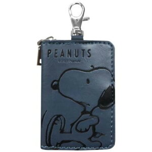 SN284 X}[gL[P[X Xk[s[ lCr[