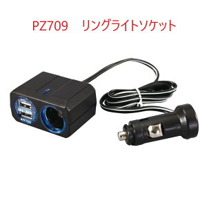 PZ709�����O���C�g�\�P�b�g�{2��USB 4.8A